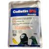 Colistin 5% Polvo - Tratamiento 100gr - Infecciones intestinales