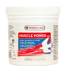 Muscle Power 150 cápsulas - Músculo - Recuperación - de Oropharma-Versele Laga