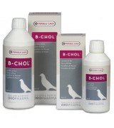 B-Chol 500 ml de Oropharma - Versele-Laga B-Chol 500 ml de Oropharma - Versele-Laga