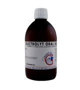 Electrolyt 500ml - deshidratación - diarreas - de Giantel