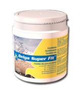 Belga Super Fit - óptima condición - de Belgica de Weerd Belga Super Fit - óptima condición - de Belgica de Weerd