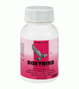 DoxyBird - Ornitosis - Micoplasmosis - de Medpet