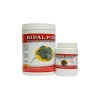 Bipal P-20 800gr - pasta para cría - pichones y pájaros de jaula Bipal P-20 800gr - pasta para cría - pichones y pájaros de jaula