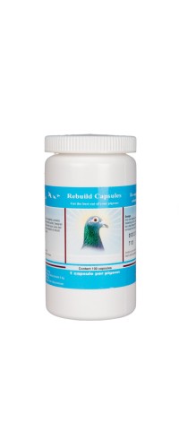 Rebuild capsules 100 caps - Rebuild & Repair Muscle - by Pigeon Vitality